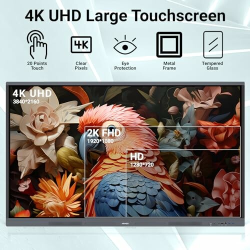 4K UHD large touchscreen with colorful floral parrot design and display resolutions.