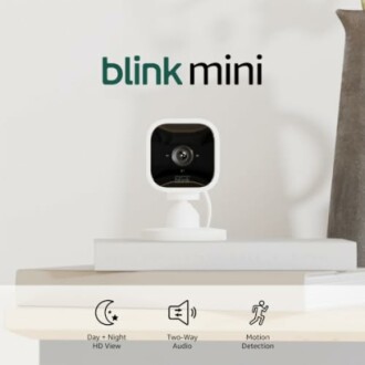 Blink Mini