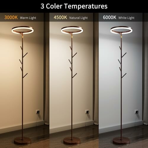 Three floor lamps with different color temperatures: warm, natural, and white light.