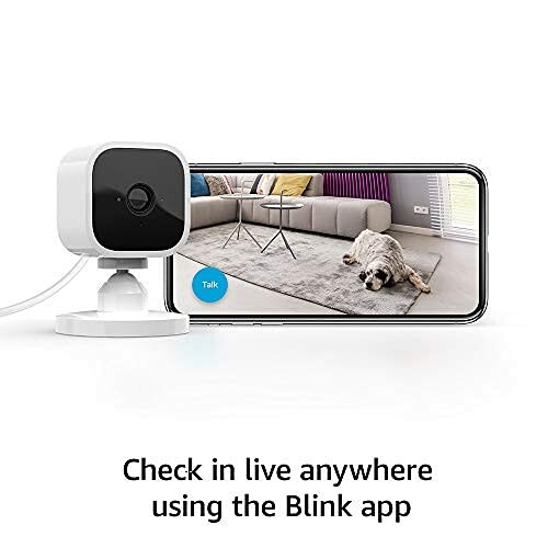 Indoor camera showing a dog on a smartphone screen using Blink app