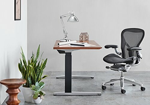 Modern office with desk, chair, lamp, and plants.