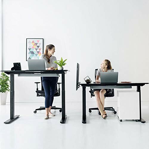 Two women working at adjustable standing desks in a modern office.